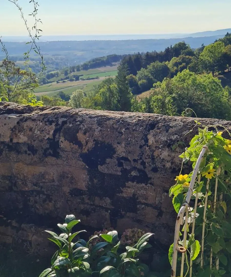 Holiday home Gite De St Clair Ville-sur-Jarnioux